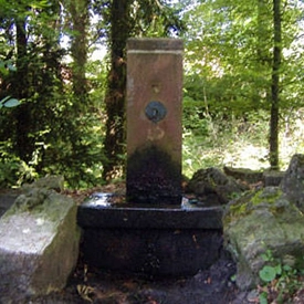 Reinsbrunnen