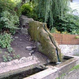 Tränke Geismar